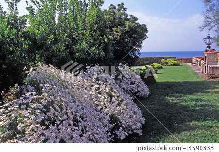 Roman suburban garden 3590333
