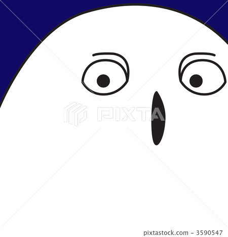 白貓頭鷹 3590547