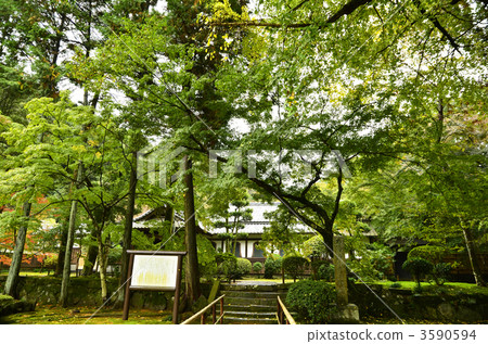 清水寺主禮堂前院 3590594