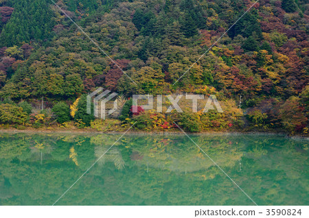 奧多摩湖 3590824