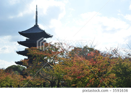 Tōzuji in autumn Tōzuji in autumn 3591636