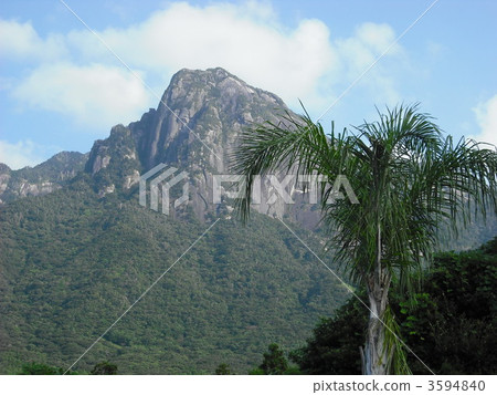 motchomu-dake, motchomudake, world natural heritage site 3594840