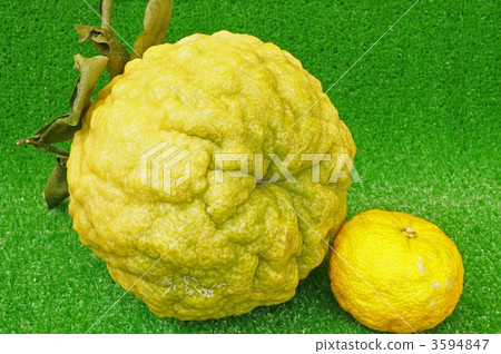 Citron  3594847
