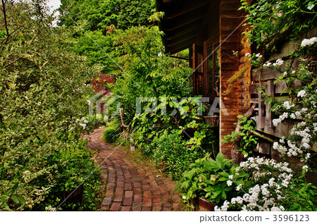 garden, yard, exterior 3596123