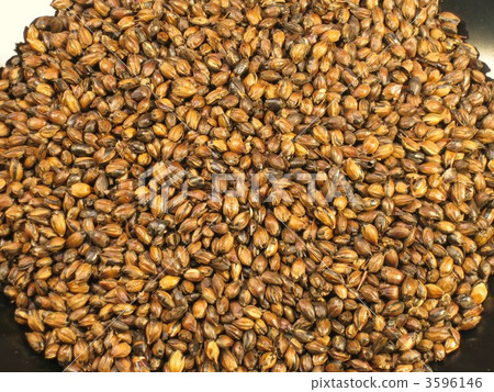 大麥 玉米 穀類 3596146