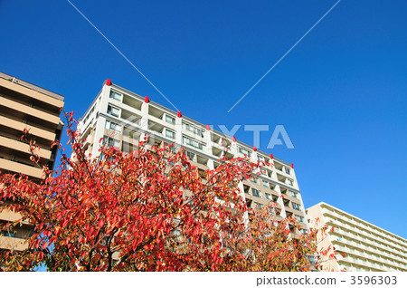 Autumnal leaves and condominiums Autumnal leaves and condominiums 3596303