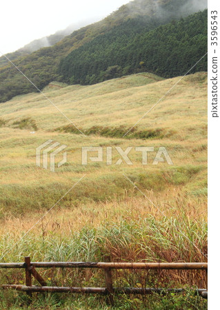 箱根仙石原 箱根仙石原 3596543