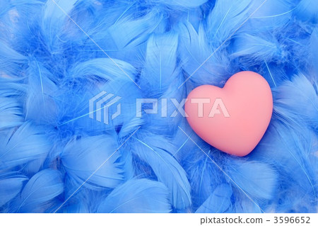 心和藍色的羽毛 3596652