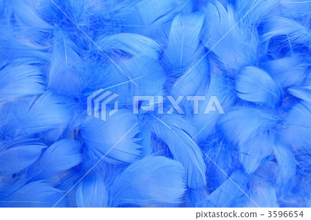 Blue feather 3596654