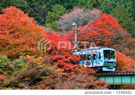 Eizan Electric Railway Kiboguchi Autumn leaves 816 3598482