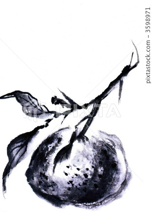 ink painting, yuzu, yuzu (small citrus fruit) 3598971