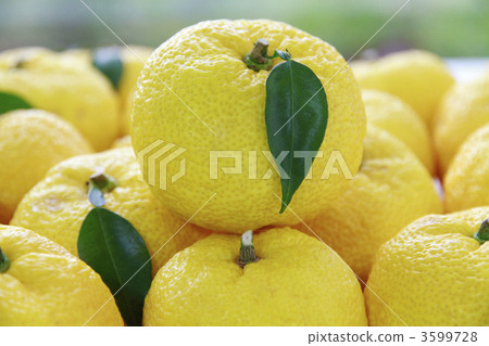 Citron Citron 3599728
