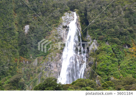 米爾福德峽灣 瀑布 落基山 3601184