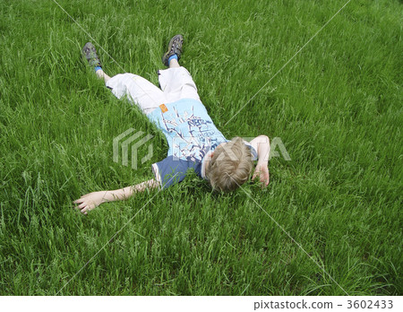 boy on the green grass 3602433