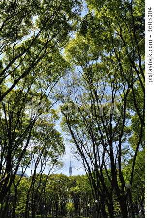 Nagoya Central Park 3603004