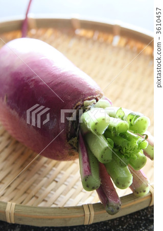 Red radish Red radish 3610457