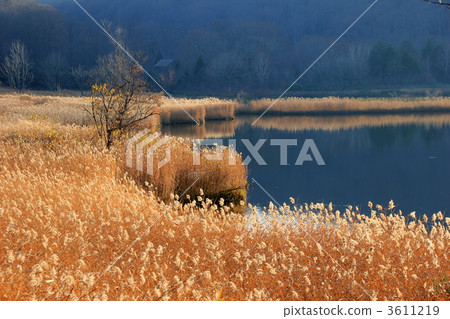 十和田八幡平國立公園大沼 3611219