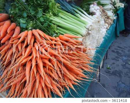 馬爾凱在巴黎 3611418