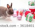 ornament, ornaments, baby rabbit 3618401