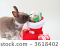 baby rabbit, bunny, rabbit 3618402