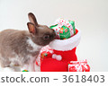 december, the red shoes, ornament 3618403