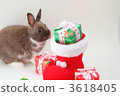 baby rabbit, bunny, rabbit 3618405