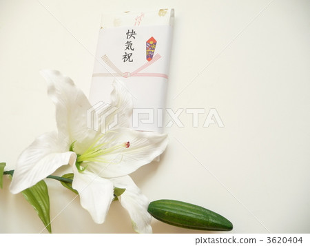 慶祝活動 3620404