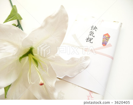 慶祝活動 3620405