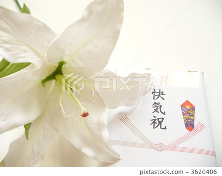 慶祝活動 3620406