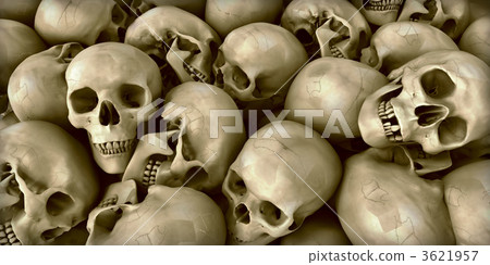 Skulls 3621957