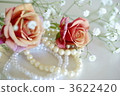 Rose and Pearl 3622420