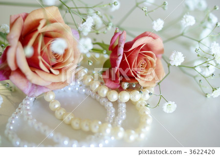 玫瑰和珍珠 3622420