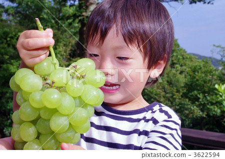 Rosario Bianico (grapes) and children Rosario Bianico (grapes) and children 3622594