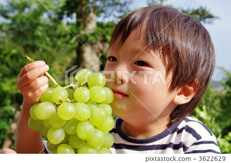 Rosario Bianico (grapes) and children Rosario Bianico (grapes) and children 3622629