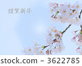 Cherry Blossoms	 3622785