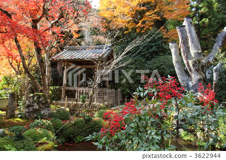 大原Jokoin花園 3622944