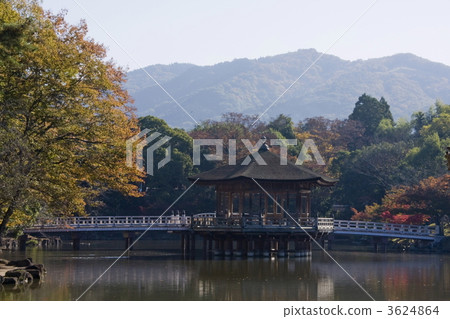 Ukifumido of Nara Park Ukifumido of Nara Park 3624864