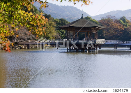 Ukifumido of Nara Park 3624879