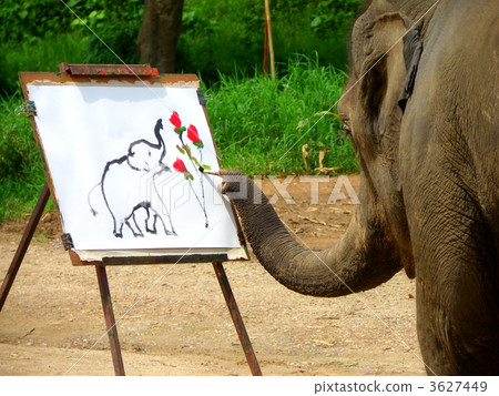 An elephant that draws a picture - Stock Photo [3627449] - PIXTA