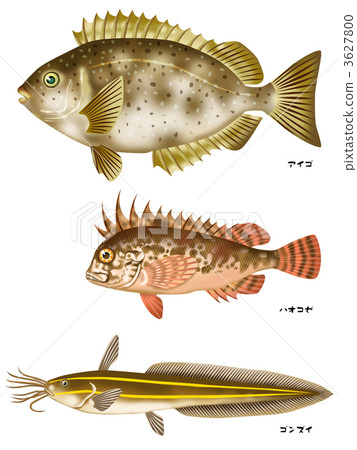 Dangerous fishing fish Aigo Hakoze Gonzui 3627800