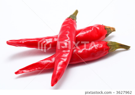 Capsicum Capsicum 3627962