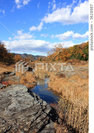 nagatoro, special natural monument, chichibu district 3628987
