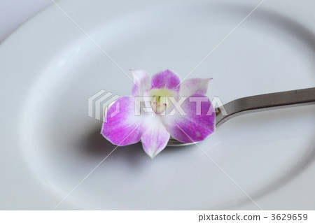 cut flowers, floral arrangement, japanese flower arrangement 3629659