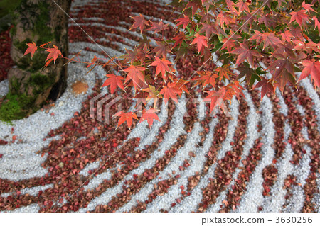 Komyo禪宗寺廟在秋天 Komyo禪宗寺廟在秋天 3630256