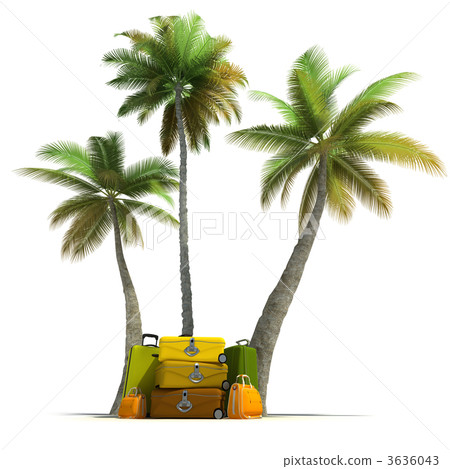 Tropical trip Tropical trip 3636043