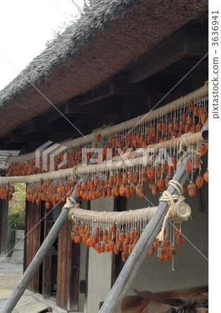 製作Shioyama甘草豪宅的柿餅 製作Shioyama甘草豪宅的柿餅 3636941