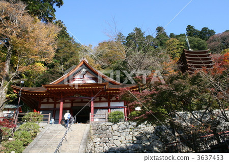 Shishiyama寺廟秋葉 3637453