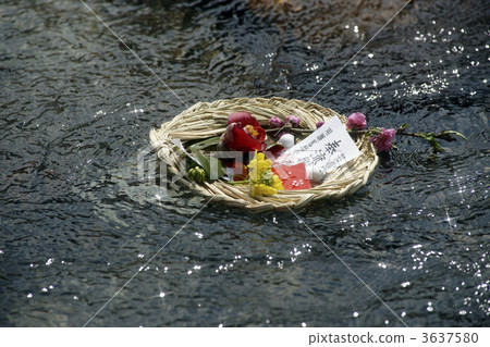 鳥取縣北町町Chiyokawa雞下沉小雞 3637580