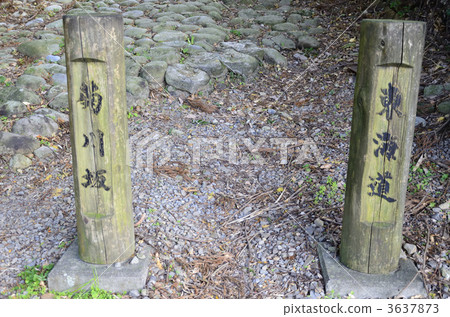 kikukawa slope, the old tokaido, kyuutoukaidou 3637873