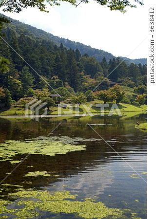 Shogakuin Umi Nobu Ukinawa bathing stool of a pearl of a pine tree 3638412